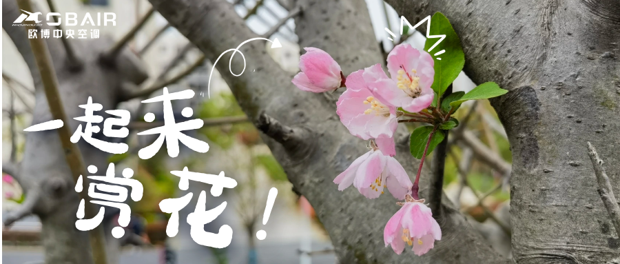 花香滿歐博|讓工作回歸自然，構(gòu)建生態(tài)新場景！