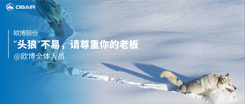 “頭狼”不易，請尊重你的老板