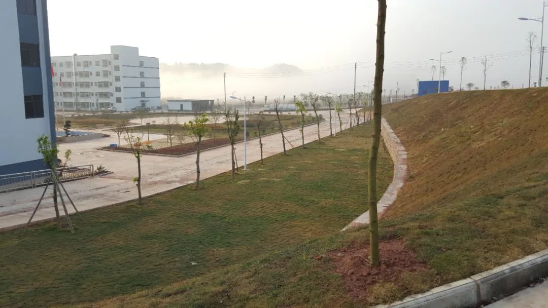 1658456562516444.jpg 640 (1)