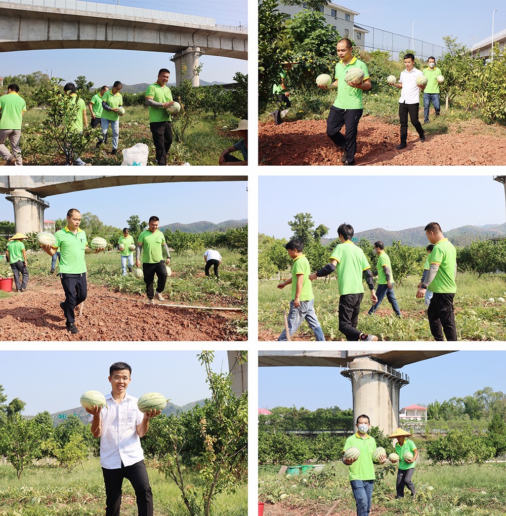 1721801229955595.jpg 未命名 -2