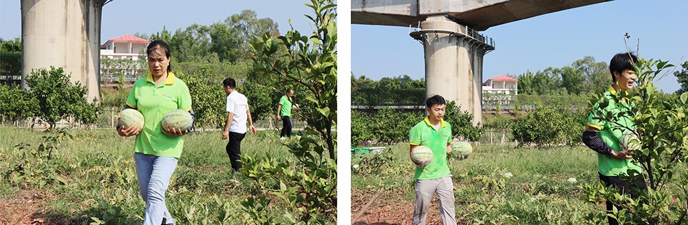 1721801248942989.jpg 未命名 -3