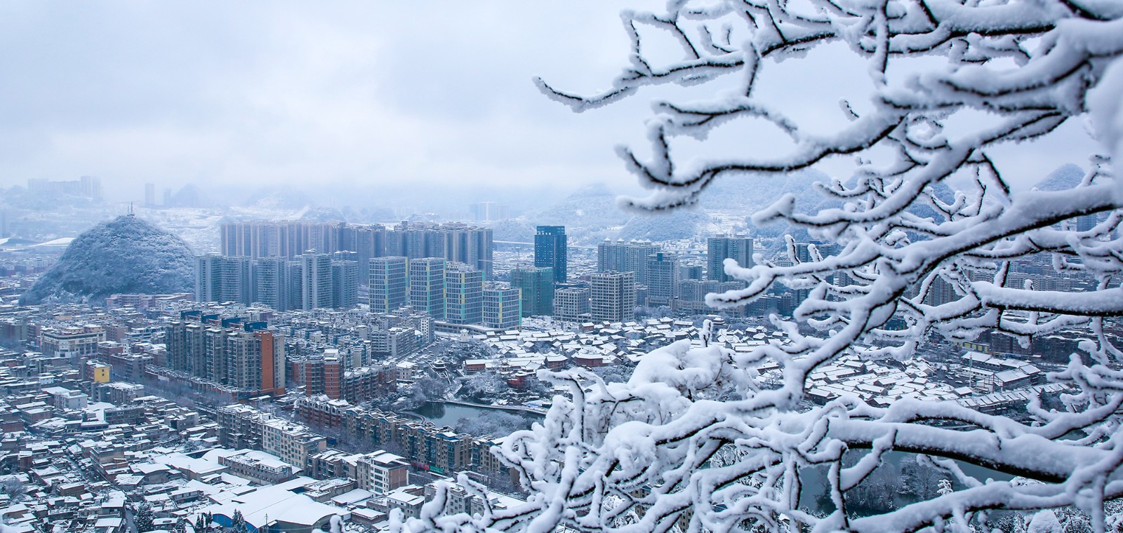 1733715862841893.jpg W020240130596697559424_ORIGIN