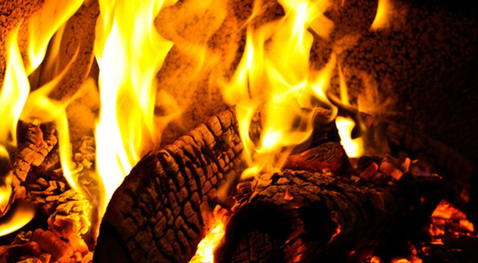 1734394153411538.jpg 338122_wx.x_large