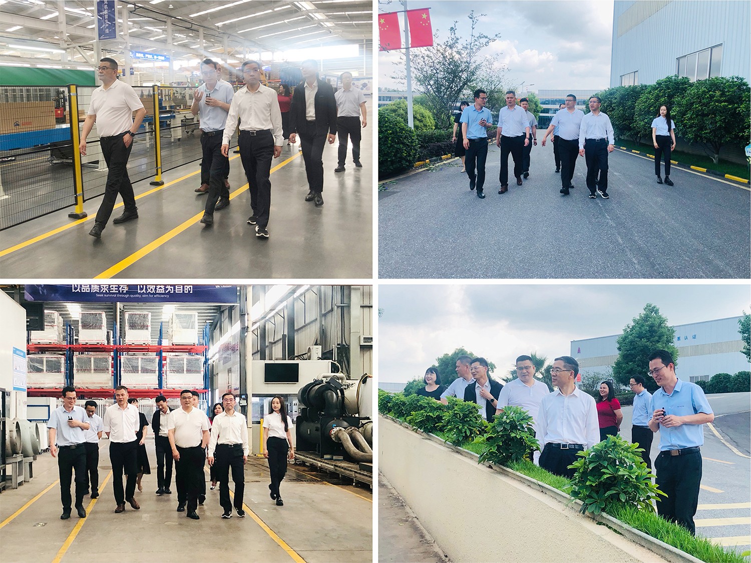 1746576260510306.jpg 055520