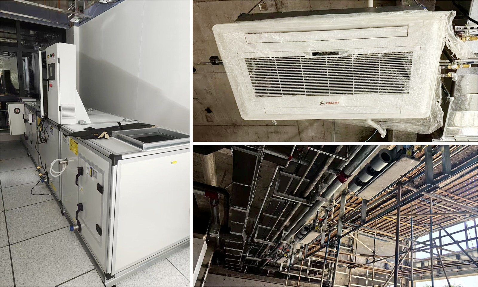 1765332438909804.jpg 6