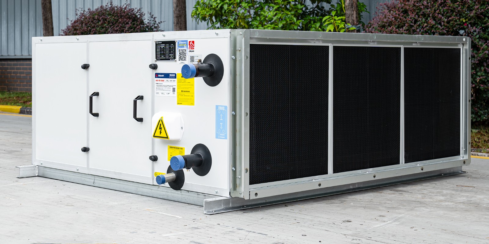 1765500452739795.jpg 2