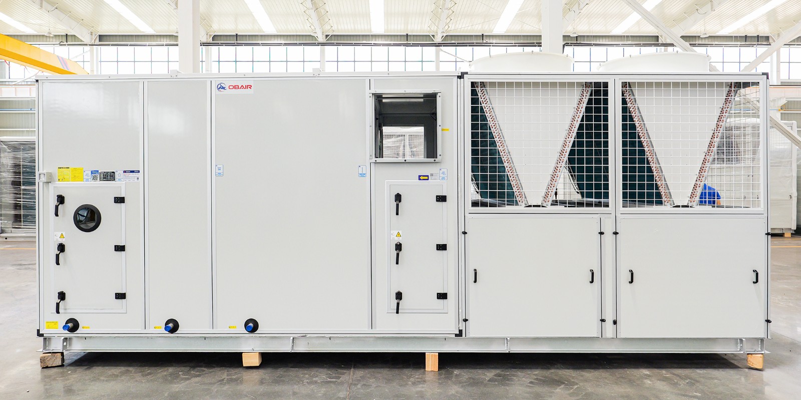 1765771300791437.jpg 3